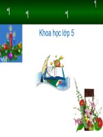 Lớp 5 - Khoa học - Tuần 18: Sự chuyển đổi của chất