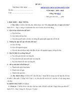 Tải Bộ đề thi khảo sát chất lượng đầu năm môn Tiếng Việt lớp 2 năm 2019 - 2020 -  3 Đề kiểm tra chất lượng đầu năm lớp 2