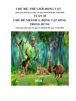 Tuần 28: Chủ đề 10 