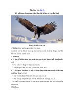 Tải Tập làm văn lớp 4: Tả một con vật mà em thấy lần đầu tiên trên truyền hình -  Tuyển chọn bài văn mẫu hay nhất lớp 4