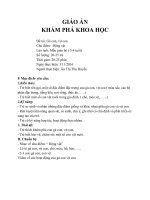 GA: KPKH: Gà con, vịt con