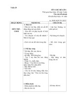 tuần 20 - Một số loại quả