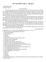 Đề ôn tập Tiếng Việt lớp 4 trong giai đoạn nghỉ dịch Covid-19