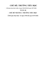 Tuần 30: Chủ đề 11 