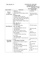 giáo án tuần phụ 19 tết và mùa xuân