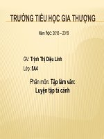Lớp 5: TLV - Luyện tập tả cảnh