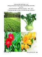 Giáo án tuần 25: Chủ đề 