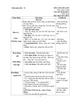 Giáo án tuần phụ 11: Ngày hội của cô giáo