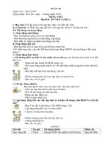 Giáo án lớp 4 VNEN tuần 18