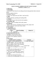 GIÁO ÁN TIẾNG ANH LỚP 4 - TUẦN 28