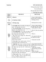 GIÁO ÁN PHỤ: ĐẤT NƯỚC VN DIỆU KỲ