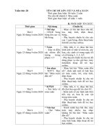 Kế hoạch giáo dục tuần 20: Mùa xuân (Năm học 2019 - 2020)