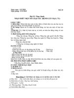 GACN9 tiết 19 tuần 20 năm học 2019-2020