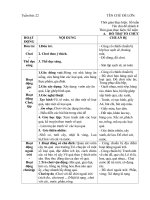 giáo án phụ tuần 22