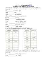 Tải Bài tập thì tiếng Anh lớp 5 -  Bài tập ngữ pháp tiếng Anh lớp 5