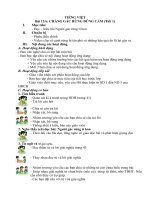 Giáo án môn Tiếng Việt tuần 13