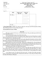 Đề kiểm tra định kì - Giữa học kì II - Khối 5 - Môn Tiếng Việt - Năm học 2016 - 2017