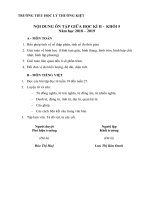 Nội dung ôn tập giữa học kỳ II năm học 2018 - 2019 - Khối 5