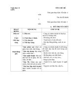 tuần phụ 11 Ngày hội của thầy cô