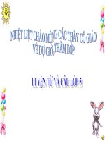 Tiếng Việt - Tuần 6 - LTVC - Luyện tập về từ đồng âm