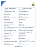 VOCABULARY FOR FEELINGS 