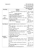 Giáo án tuần 20 chủ đề 