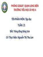 Tập đọc - Tuần 21 - BÀI: Trống đồng Đông Sơn