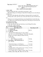 Giáo án Tin học lớp 5 Tuần 1