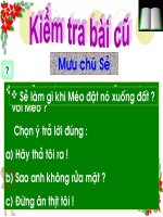 Bài giảng điện tử - Tập đọc Ngôi nhà