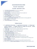 COLLOCATIONS FOR SOCIAL ISSUES 