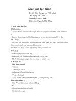 Giáo án hoạt động tạo hình: Dán đàn gà con (tiết mẫu)