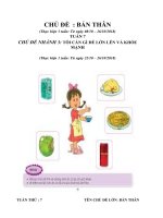 Giáo án tuần 7: Chủ đề: Bản thân tuần phụ