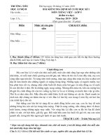 Đề KT khối 5 - Cuối HK I - Môn Tiếng Việt - Năm học 2019 - 2020