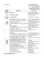 GIÁO ÁN PHỤ TUẦN 30: ĐỘNG VÂT SỐNG TRONG RỪNG
