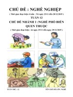 Tuần 12: Chủ đề 4: 