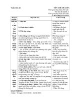 GIÁO ÁN PHỤ TUẦN 26: PTGT ĐƯỜNG BỘ ĐƯỚNG SÂT