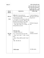 phụ nhánh 1 Cây xanh cuả bé chủ đề Thế giới những loài cây xung quanh bé