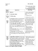 giáo án phụ tuần 33: MỪA HÈ