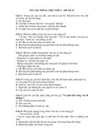 Đề ôn tập Tiếng Việt lớp 4 trong giai đoạn nghỉ dịch Covid-19