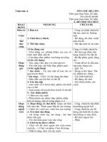 giáo án phụ tuần 6 chủ đề 