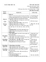 Giáo án tuần 30 chủ đề 