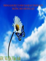 Bài giảng điện tử  Toán - đại số 6-7-8-9