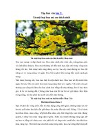 Tải Tập làm văn lớp 2: Tả một loại hoa mà em thích nhất -  Những bài văn lớp 2 hay nhất