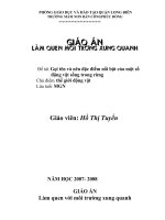 KPKH: Gọi tên và nêu đặc điểm nổi bật một số động vật sống trong rừng