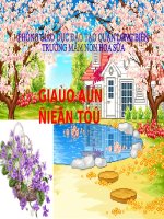 kptn con gà mái  mn hoa sữa