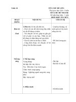 TUẦN 10 PHỤ: ĐỒ DÙNG GIA ĐÌNH