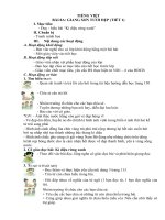 Giáo án môn Tiếng Việt tuần 8