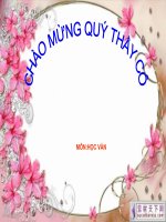 Bài giảng tiếng việt tuần 24 bài 100