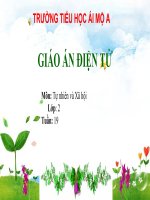 Tuần 19 - TNXH 2 - Bai 19 Duong giao thong