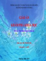 Giáo án KPKH: Tìm hiểu một số loài cá